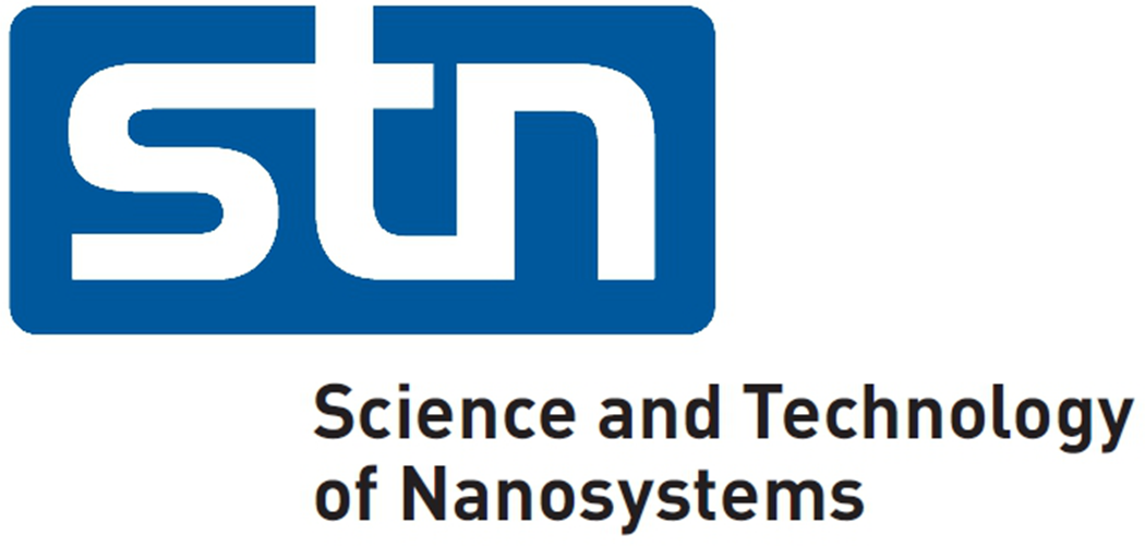 Logo of the Science and Technology of Nanosystems Research Program (STN).